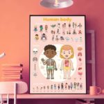 le corp humain - poppik - l'atelier des belettes