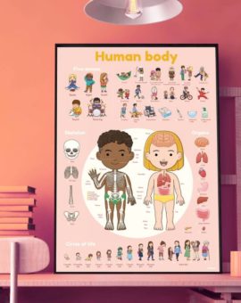Poster stickers Le corps humain – Poppik
